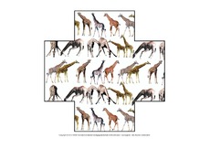 Formen-Giraffe-1-7.pdf